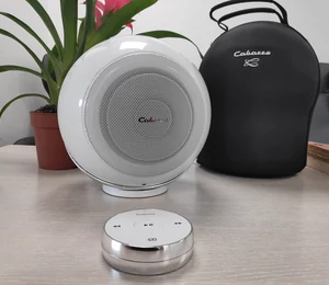 Test The Pearl Akoya : la perle des enceintes connectées ?